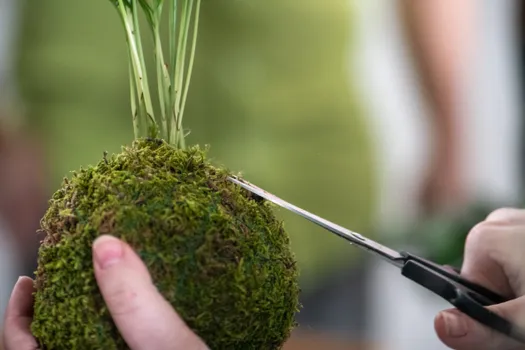 Copyright : Caryl Treuthardt